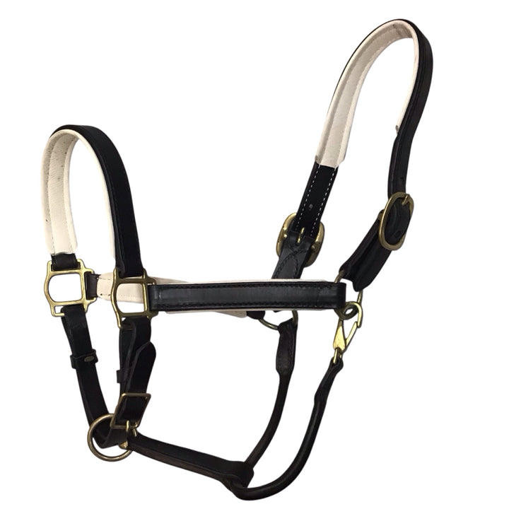 Tory Leather Horse Size Padded Leather Halter Used - H