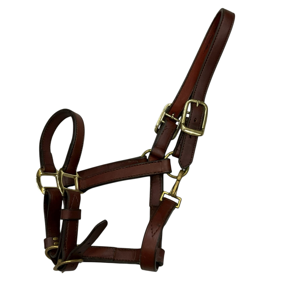 Horse/Full Leather Halter Used - H