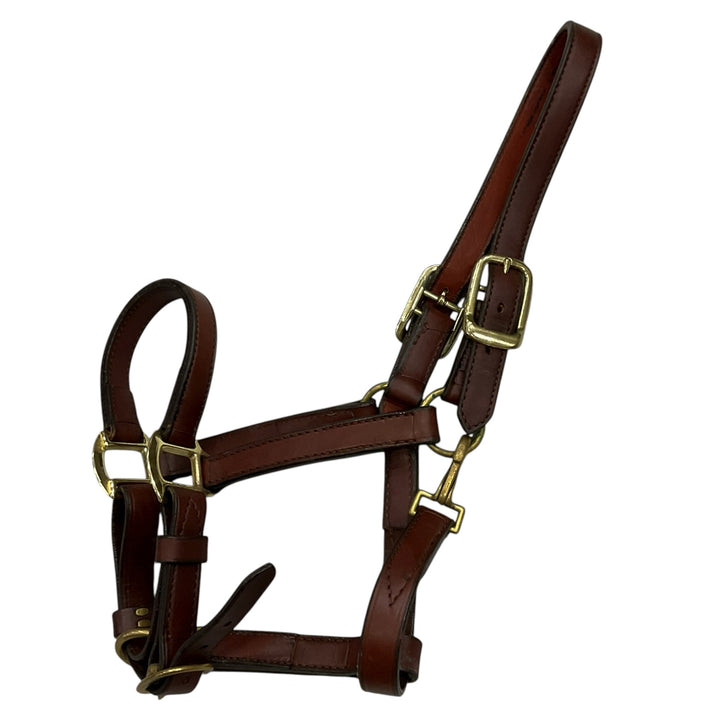 Horse/Full Leather Halter Used - H