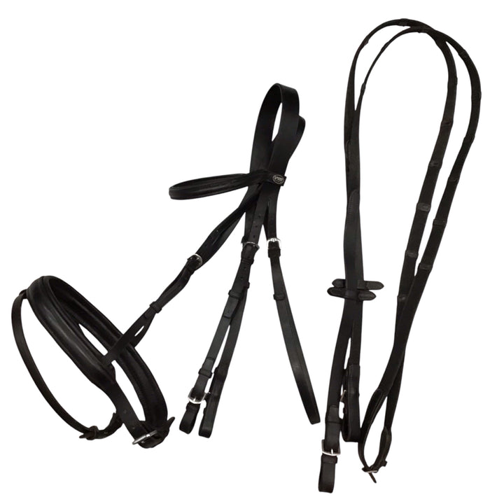 Passier Full Size Juno Dressage Bridle Used - H