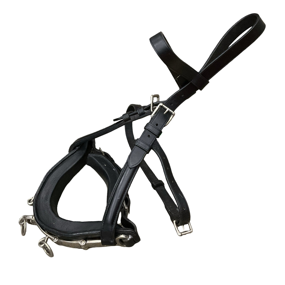 Horse/Full Leather Lunging Caveson Used - H