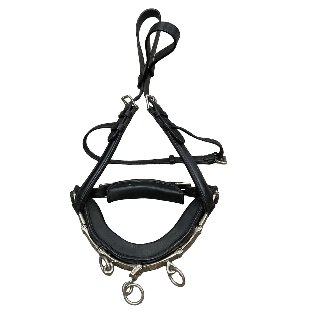 Horse/Full Leather Lunging Caveson Used - H