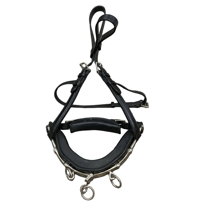 Horse/Full Leather Lunging Caveson Used - H