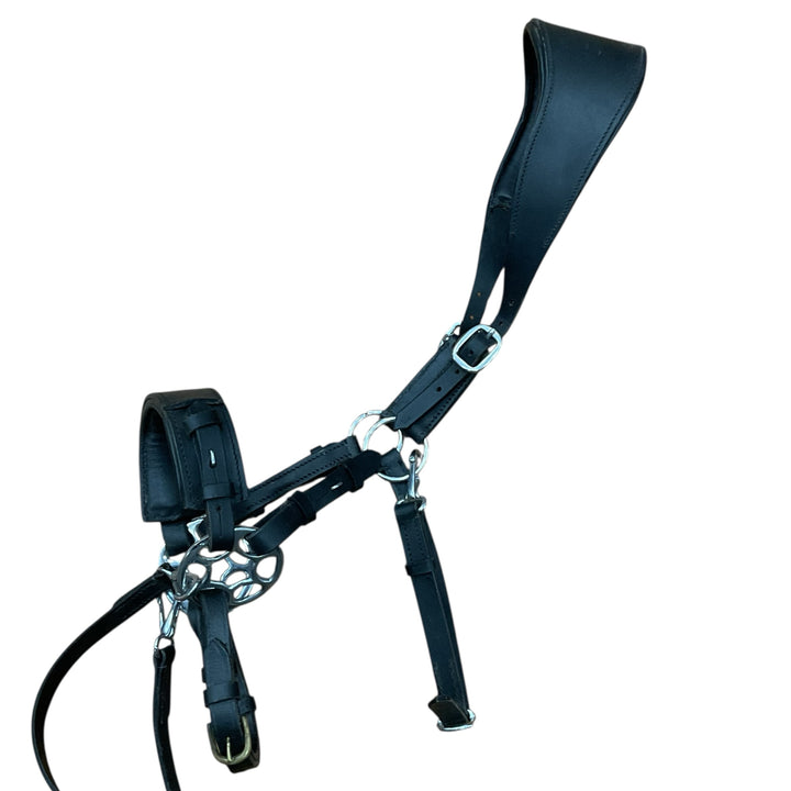 Padded Bitless Brilde w/ Waldhausen Sensitive Bitless Noseband w/ Wheel - H