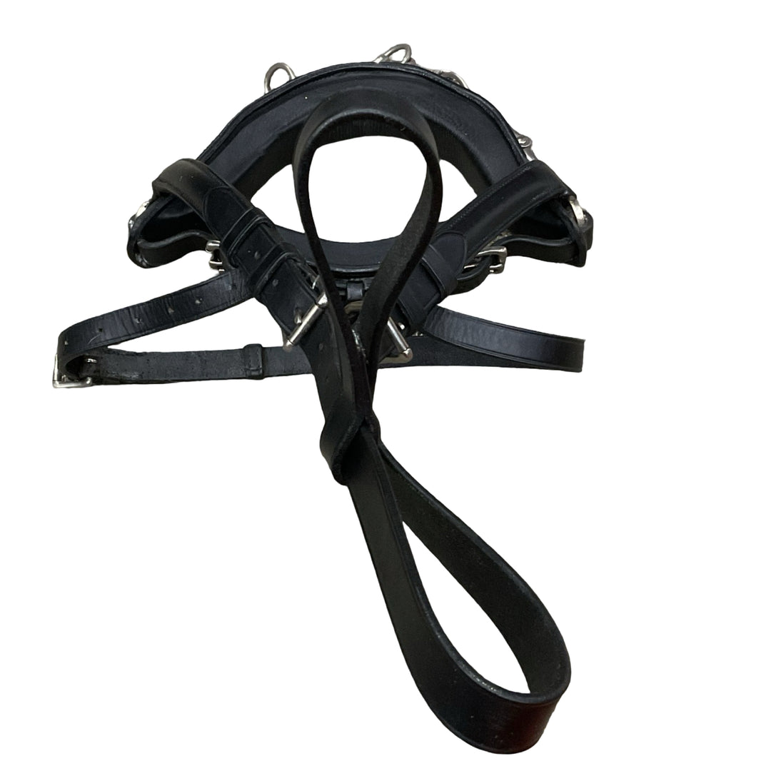 Horse/Full Leather Lunging Caveson Used - H