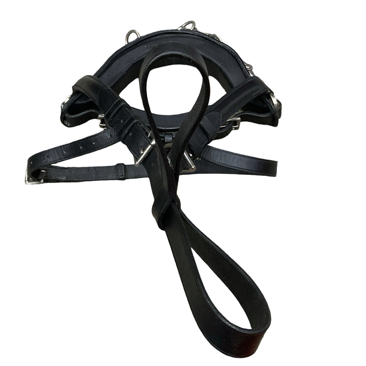 Horse/Full Leather Lunging Caveson Used - H