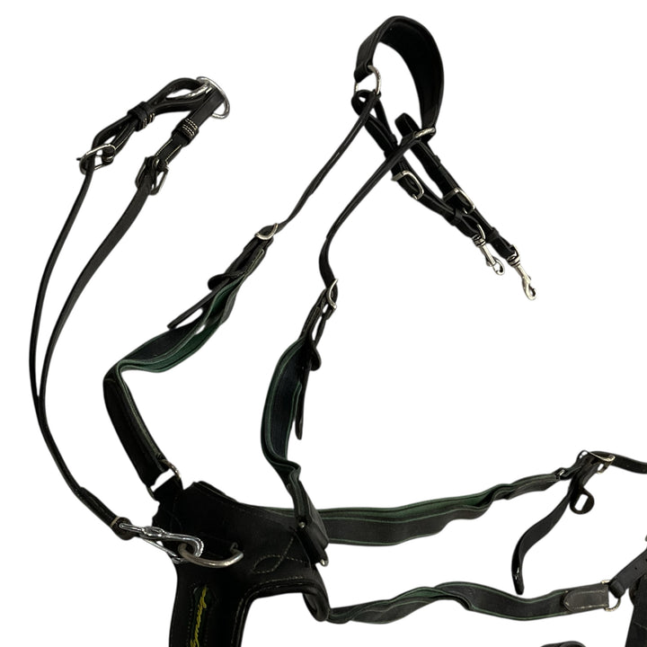 AMERIGO Horse/Full 5 Point Breastplate Used - H