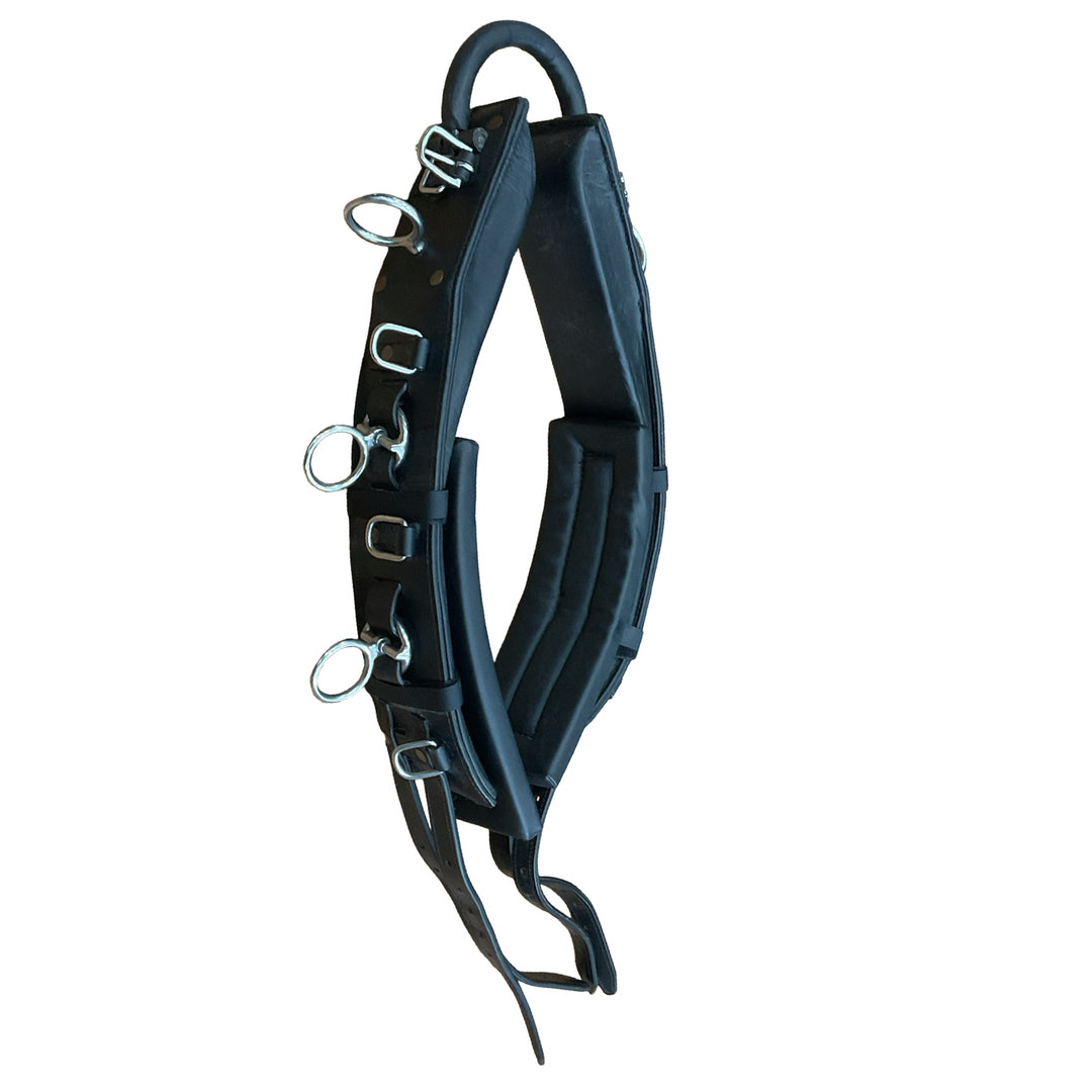 Globus Full Lunging/Training Surcingle w/ Girth & Crupper Black Used