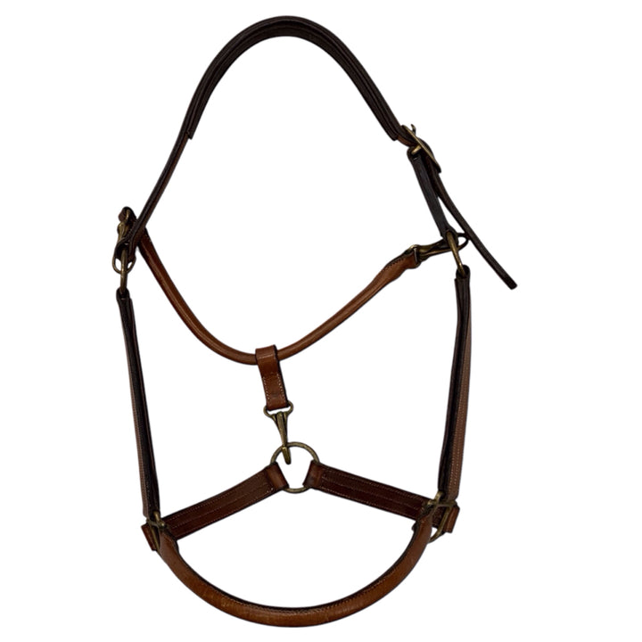 Arc De Triomphe Oversize Convertible Grooming Halter Used - H