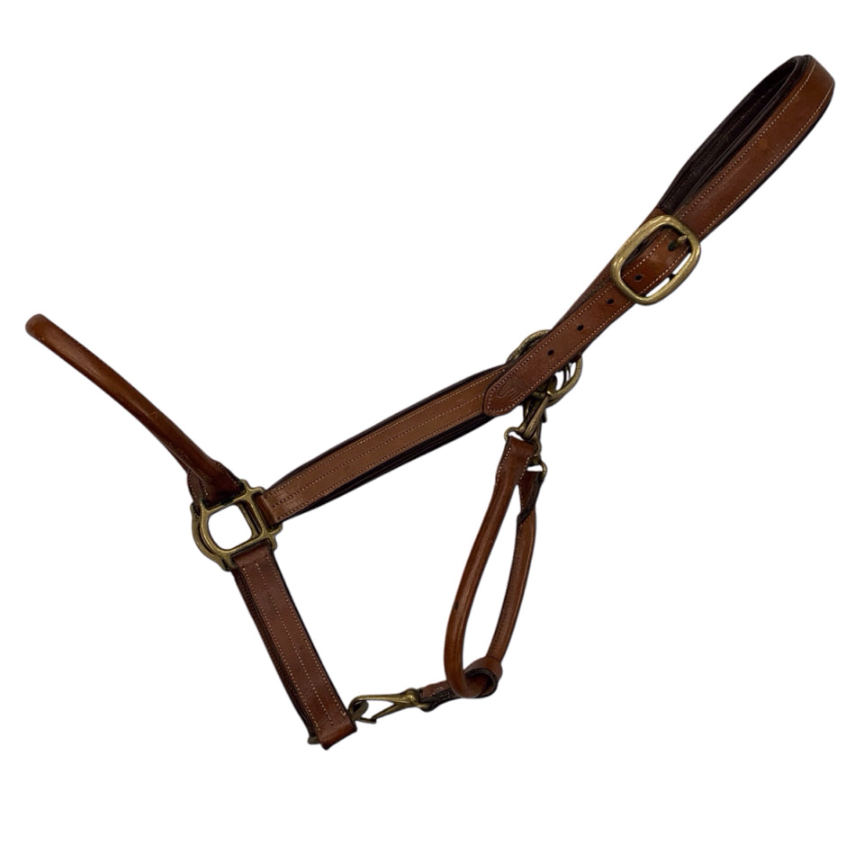 Arc De Triomphe Oversize Convertible Grooming Halter Used - H