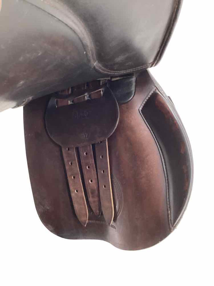 17" Collegiate used all purpose saddle B