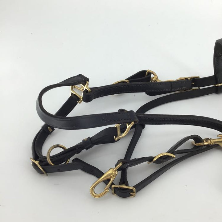 TORY Combination Halter & Trail Bridle USED B