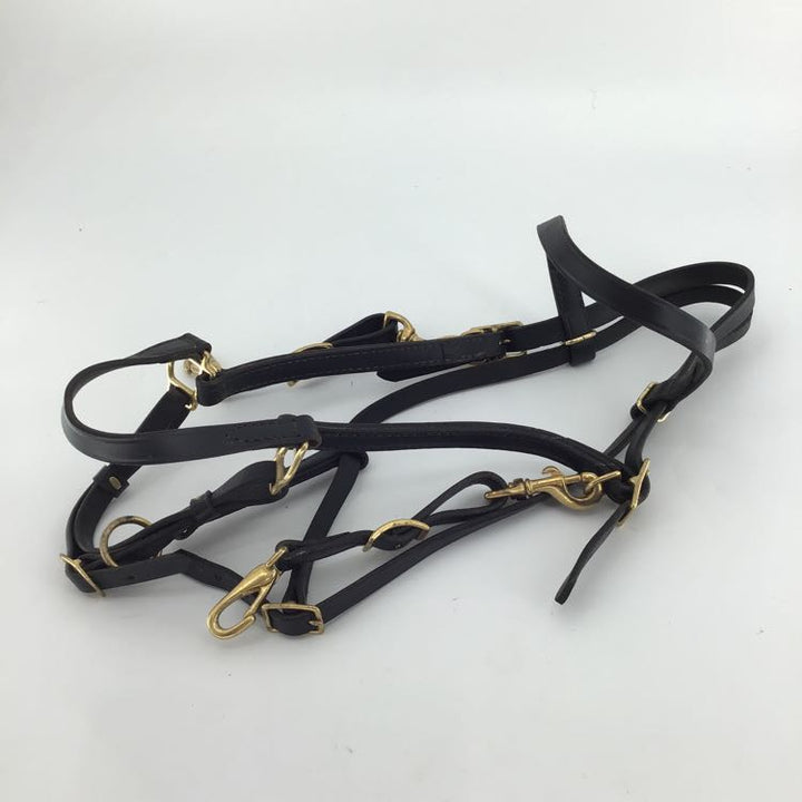 TORY Combination Halter & Trail Bridle USED B